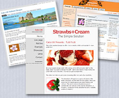 Css website designs - quick website design and cheap websites with high performance on Google built in for 500 pounds 