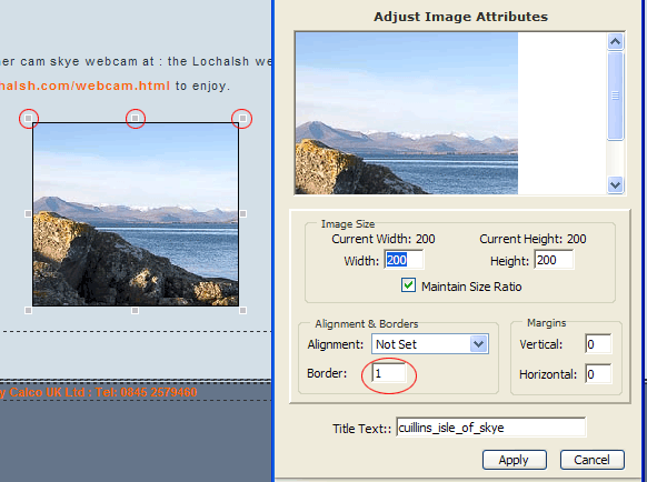 Image Attributes can be edited here