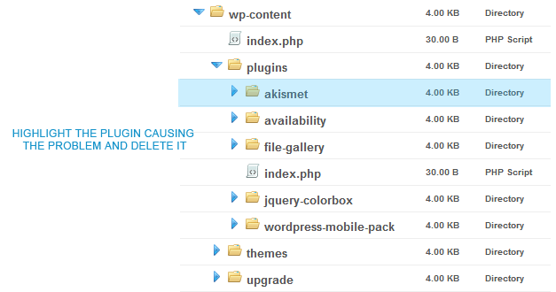 Deleting the Wordpress plugin(s)